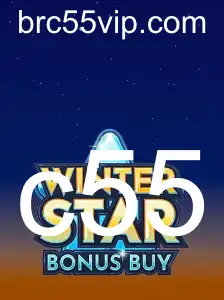 Desvendando o Jogo WinterStarBonusBuy: Descrição, Introdução e Regras